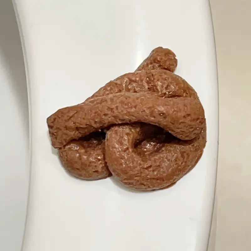 Realistisches schwimmendes Fak – Fake Poop Gag Gift Bewertung und Preis