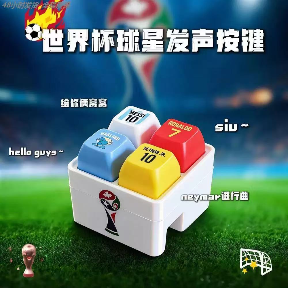 Haaland Fußball-Schlüsselanhän – Prank Toys Bewertung und Preis